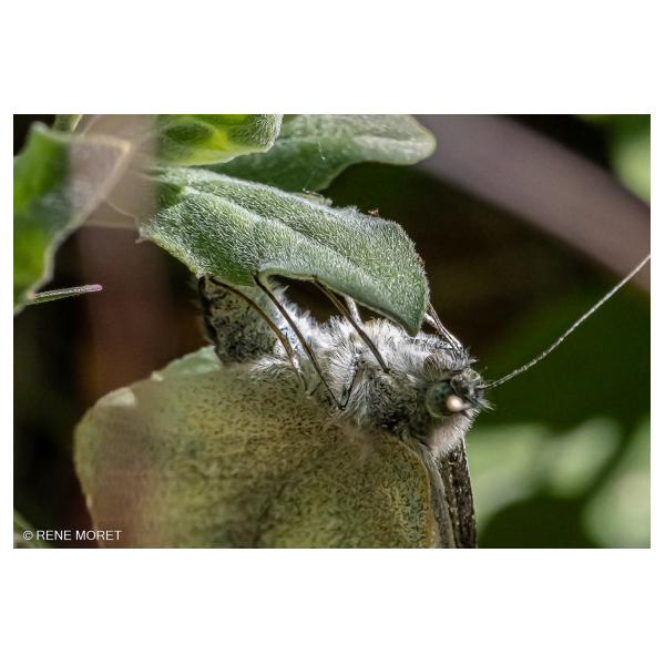 PHOTO84, CLUB, 84 , LUBERON